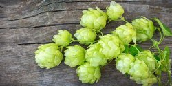 simcoe